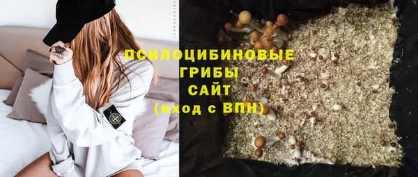 гашик Алзамай
