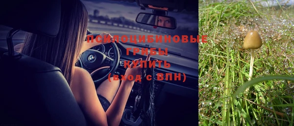 гашик Алзамай