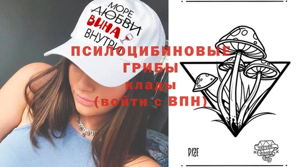 ПСИЛОЦИБИНОВЫЕ ГРИБЫ Алексин